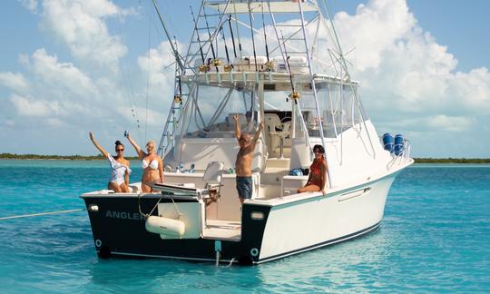 Carta de pesca en alta mar de medio día con el programa «Angler Management» en las Islas Turcas y Caicos