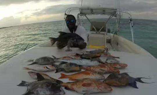 Charter de pesca en arrecifes de 6 horas en las Islas Turcas y Caicos «Shady Grady»