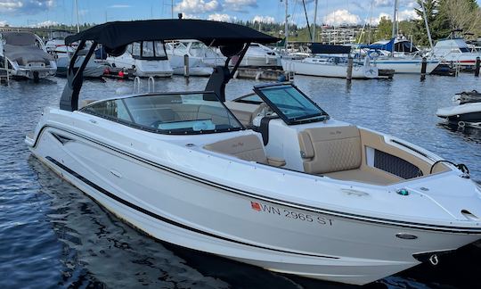 ✅⚓️✅ SeaRay de luxe de 30 pieds avec système de son surround amélioré//Capitaine inclus !