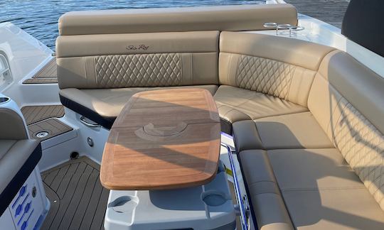 ✅⚓️✅ SeaRay de luxe de 30 pieds avec système de son surround amélioré//Capitaine inclus !