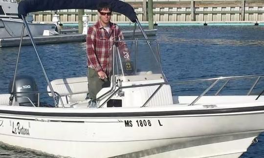 Half Day Rental | 16ft Dauntless Boston Whaler in Hyannis Harbor, Massachusetts - Cape Cod