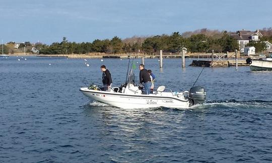 Half Day Rental | 16ft Dauntless Boston Whaler in Hyannis Harbor, Massachusetts - Cape Cod