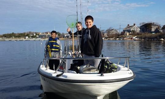 Half Day Rental | 16ft Dauntless Boston Whaler in Hyannis Harbor, Massachusetts - Cape Cod