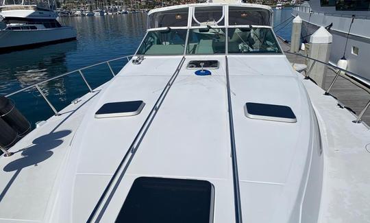 460 Sea Ray Sundancer, cruzeiro de iate casual em Puerto Vallarta