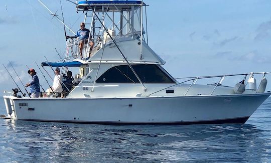 Enjoy Fishing in Cancún, Mexico on 35' Mark Bertram Sport Fisherman