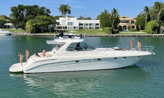 Sea Ray 58' à Miami Beach