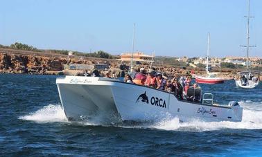 Catamaran Charter Coastal trips in Sagres, Algarve