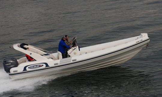 A powerful boat, safe and reliable. An experienced captain is always there for you.