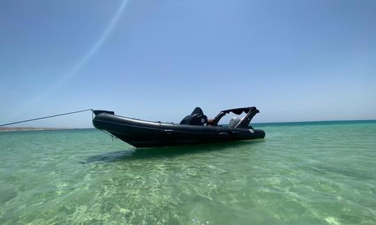 Islas Giftun: recorrido en lancha rápida con lugar para almorzar y bucear