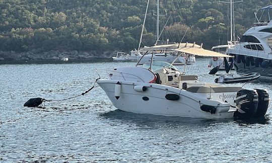 Capelli 28WA Boat for rent in Municipality of Tivat