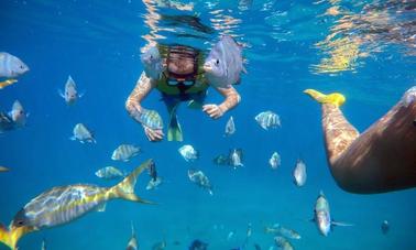 🛥️🏝️ Snorkeling Cruise Charter in Puerto Plata🛥️🏝️