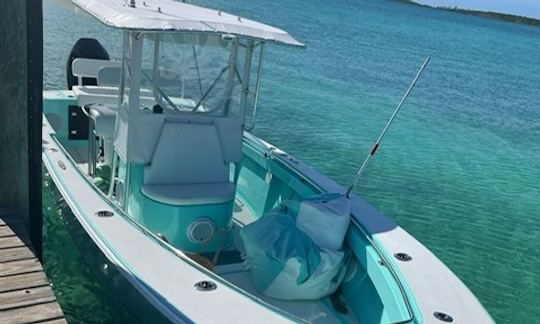 Passeios de mergulho com snorkel a bordo do 24' Seacraft