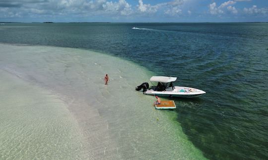 23ft Concept Powerboat Island Tour and Sandbar charter