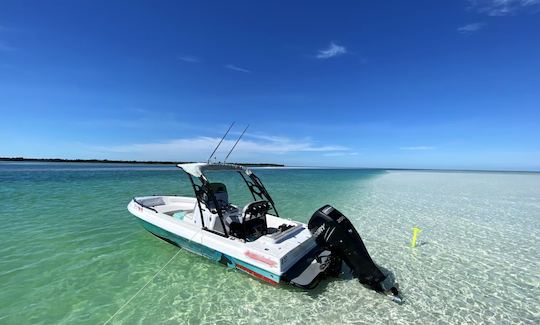 23ft Concept Powerboat Island Tour and Sandbar charter