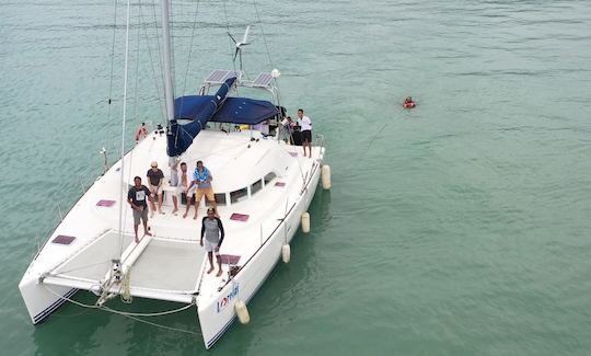 aerial view of catamaran