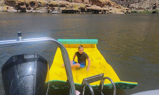 Lilly Pad at Canyon Lake