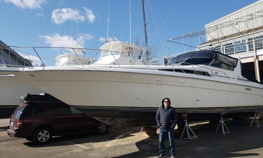 Yacht à moteur Sea Ray de 44 pieds avec capitaine licencié de l'USCG à Lyme, Connecticut