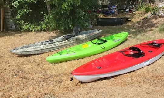 3 kayaks, each with life jackets and paddle $15 per hr each or $30 per hrs all three