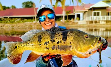 Perak Wild Peacock Bass Fishing Trip In Malaysia