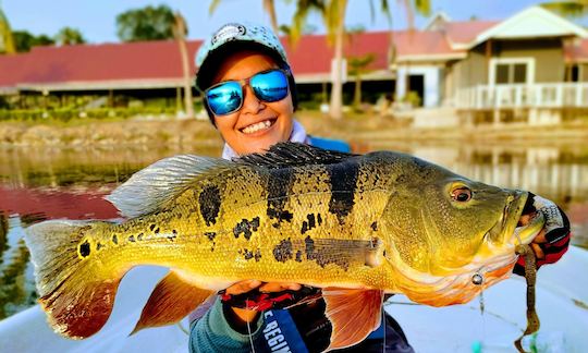 Viagem de pesca de tucunaré selvagem em Perak na Malásia