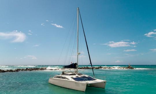 Catamaran PDQ à 37 minutes de Tulum avec tout compris.