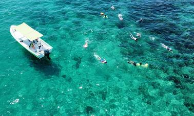 Naviguez et faites de la plongée avec tuba sur la mer de Cortez à Cabo avec notre bateau Panga de 26 pieds