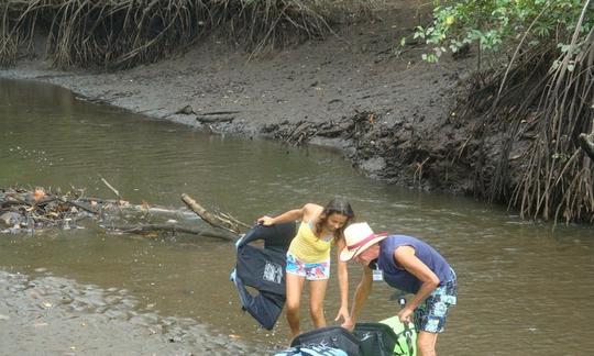 Explore el estuario de Costa Rica en un recorrido en kayak