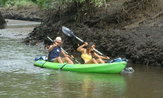 Explore el estuario de Costa Rica en un recorrido en kayak