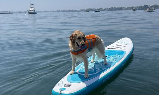 PaddleBoard Rental in Harbor Point, Connecticut  (2 available for rent)