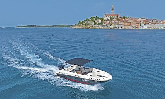 Bayliner E21 E7 for rent in Rovinj