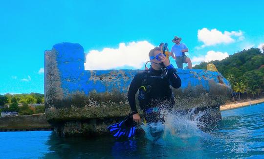 Plongées guidées à terre à Bonaire