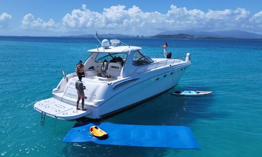 Impresionante yate Sea Ray Sundancer de 51 pies para alquilar