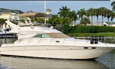 2000 Sea Ray 400 Sedan Bridge Motor Yacht Rental in Mugla