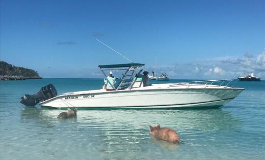 Explorez les magnifiques îles des Bahamas