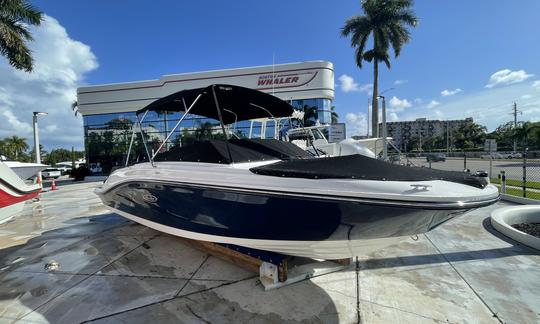 23' Chartered Sea Ray Bowrider Sarasota Siesta Key