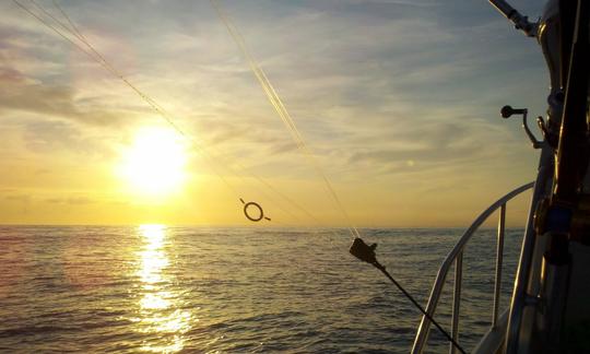 Book the 35ft Cabo Motor Yacht for up to 8 people in Puerto Vallarta, Jalisco