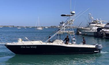 Contender 35- Barco de pesca a Isla Espíritu Santo y Balandra