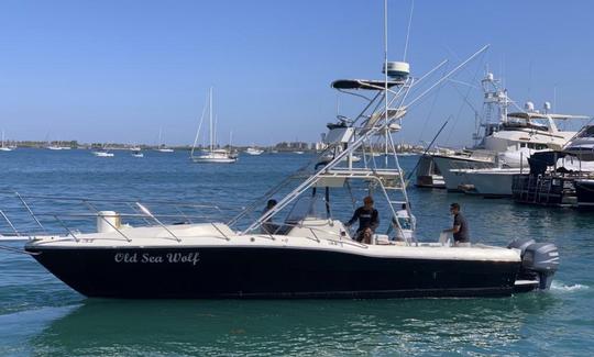 Contender 35- Bateau de pêche pour Isla Espíritu Santo et Balandra