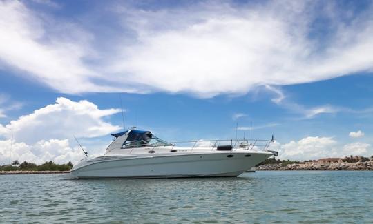 Sea Ray Sundancer 42’ Motor Yacht with all Inclusive in Puerto Aventuras, Quintana Roo