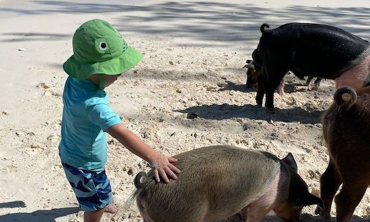 Swim with Pigs, Snorkel with Turtles & Beach Day!