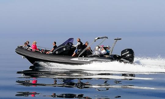 Aluguel do Grand 850 RIB em Rovinj, Croácia