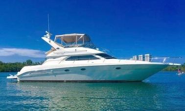 Charter the Sea Ray Fly 40 Motor Yacht in Ixtapa Zihuatanejo, Guerrero