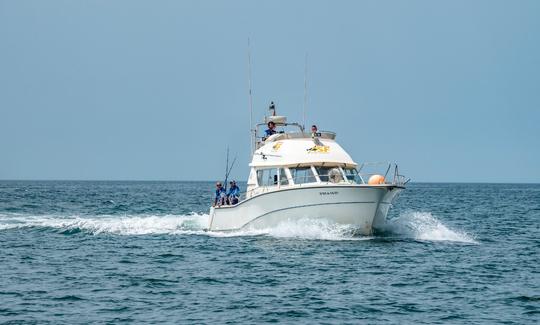 Aluguel de iates a motor Rodman 1250 em El Puerto de Santa María, Andaluzia.