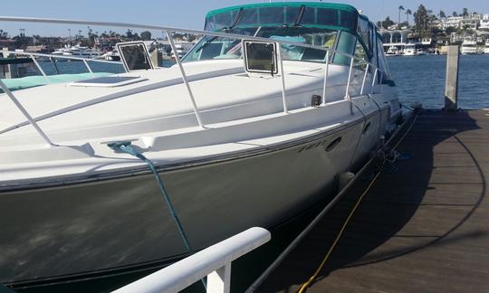 Location de l'île de Catalina sur un yacht à moteur Bertram Trojan de 42 pieds