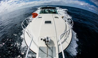 Catalina Island Charter On 42ft Bertram Trojan Motor Yacht