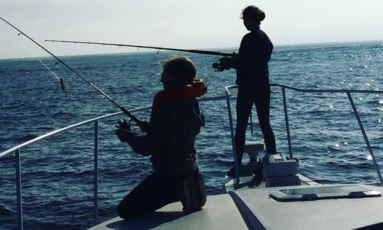 Location de l'île de Catalina sur un yacht à moteur Bertram Trojan de 42 pieds