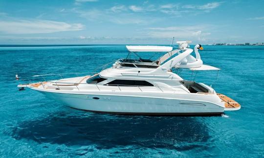 Beautiful 51' Sea Ray Motor Yacht in Cancún