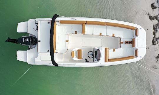 20ft. Bayliner Bowrider - Island Hopper!