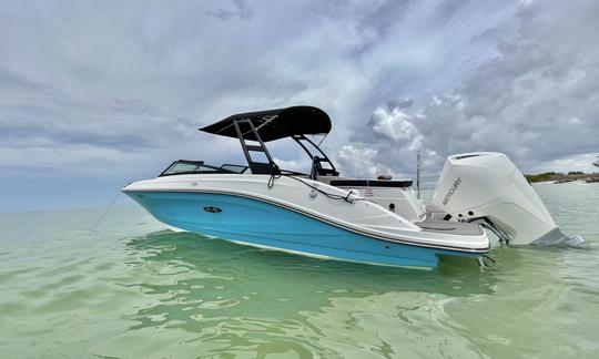 Private Dolphin and Island Tour on the Gulf of Mexico on a 2023 Sea Ray!