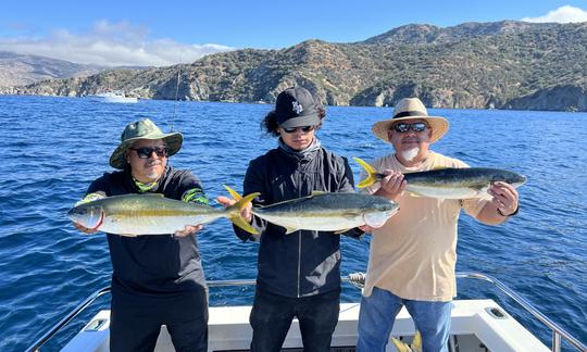 Pesca esportiva em Los Angeles: 1/2 excursões de um dia inteiro, locais e insulares, freelance